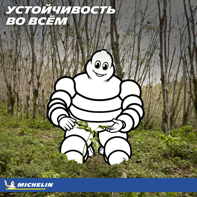купить шины Michelin Pilot Sport Cup 2 245/35 R20 95Y XL N1 с гарантией