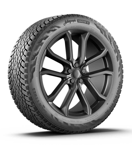 Ikon Tyres Autograph Snow 5 245/40 R20 99T XL купить с доставкой