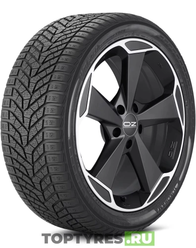 Yokohama BluEarth Winter V905 265/40 R21 105V купить с доставкой