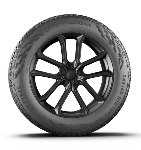 Ikon Tyres Autograph Snow 5 SUV 255/45 R20 105T XL купить с доставкой