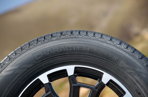 Ikon Tyres Character Aqua SUV 265/70 R16 112T купить с доставкой