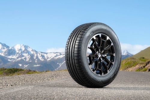 Ikon Tyres Character Aqua SUV 265/70 R16 112T купить с доставкой