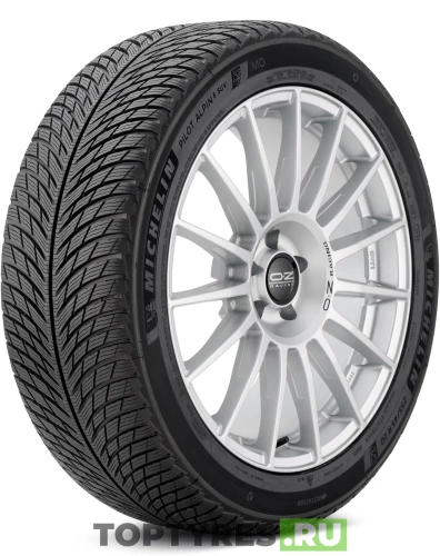 купить шины Michelin Pilot Alpin 5 SUV 255/45 R20 105V XL * с гарантией