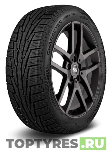 Ikon Tyres Character Snow 2 SUV 235/65 R18 110R XL купить с доставкой